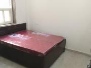 1 BHK Apartment in Sector 23B Dwarka for rent New Delhi....