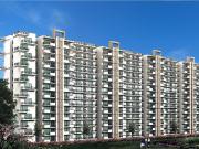 1 BHK Apartment in Sector 35 for rent Sohna. The...