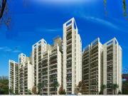 1 BHK Apartment in Sector 92 for resale New Gurgaon. The...