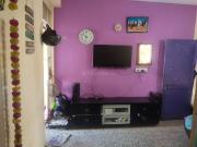 1 BHK Apartment in Vejalpur for rent Ahmedabad. The...