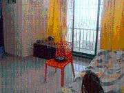 1 BHK Apartment in Virar West for resale Mira Road and...