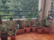 1 BHK Apartment in Warje for rent Pune. The reference...