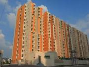 1 BHK Apartment in Wave City for rent Ghaziabad. The...