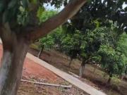 1 BHK Farm House in Kondurg for resale Hyderabad. The...