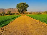 1 BHK Farm House in Simrol for rent Indore. The...