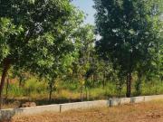 1 BHK Farm House in Uthukkottai for resale Chennai. The...