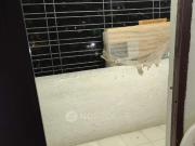 1 BHK Flat for Rent In Hadapsar