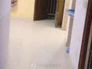 1 BHK Flat for Rent In Vasant Kunj