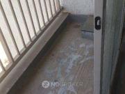 1 BHK Flat In Ace Enclave for Rent In Thane West