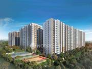 1 BHK Flat In Alliance Galleria Residences for Rent In Pall 1 BHK Flat In Alliance Galleria Residences for Rent In Pall