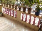 1 BHK Flat In Annapurna Krupa Nandivli Road for Rent In Sar