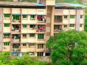 1 BHK Flat In Apartment for Rent In Dombivli