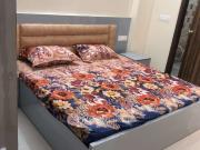 1 BHK Flat In Apartment for Rent In Sector 43