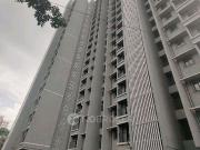 1 BHK Flat In Dosti Desire Dosti Joy for Rent In Thane west 1 BHK Flat In Dosti Desire Dosti Joy for Rent In Thane west