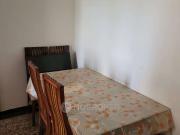 1 BHK Flat In Flora Chs for Rent In Shop No. 23, Flora...