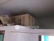 1 BHK Flat In Gangeshwar Maya for Rent In Dombivali West