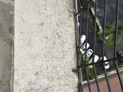 1 BHK Flat In Highland Pearl for Rent In 6xcp+wpj, Balkum P