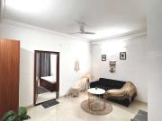 1 BHK Flat In Horizon Homes for Rent In Sector 46