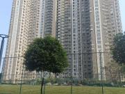 1 BHK Flat In Lodha Amara for Rent In Thane
