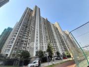 1 BHK Flat In Lodha Amara for Rent In Thane West