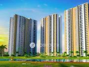 1 BHK Flat In Lodha Crown Kolshet for Rent In Thane West
