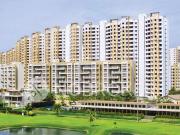 1 BHK Flat In Lodha Palava Casa Premier for Rent In Dombivl