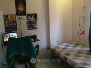 1 BHK Flat In Majnu Ka Tilla for Rent In C24, Block B,...