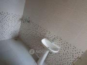 1 BHK Flat In Mehak Jeevan for Rent In Raj Nagar Extension