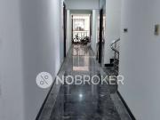 1 BHK Flat In Meridian Resident for Rent In Bommanahalli