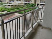 1 BHK Flat In New Dda Flats Dwarka Sector 14 Pocket 5...