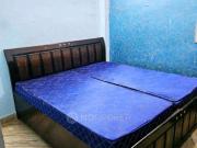 1 BHK Flat In Pocket B 6 Rohini Sector 7 for Rent In Secto