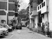 1 BHK Flat In Raghav Niwas for Rent In Janakpuri