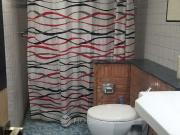 1 BHK Flat In Rwa Saket Residential Building for Rent In...