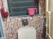 1 BHK Flat In Shivbhumi Chs for Lease In Shankarwadi Sra Chs