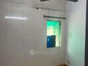 1 BHK Flat In Stand Alone Building for Rent In Rohini