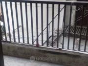 1 BHK Flat In Standalone Building for Rent In Rohini