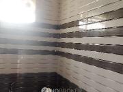 1 BHK Flat In Stars Exotica Apartments for Rent In 1728,...