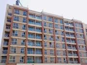 1 BHK Flat In Today Aamod for Rent In Panvel