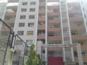 1 BHK Flat In White Lily for Rent In Wakad