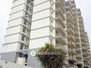 1 BHK Flat In Zara Aavaas for Rent In Sector 104