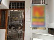 1 BHK House for Rent In Rohini