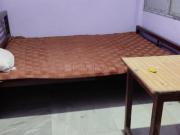 1 BHK Independent Builder Floor in Pratap Nagar for rent...
