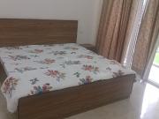 1 BHK Independent Builder Floor in Sector 27 for rent...