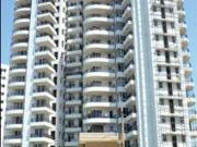 1 BHK Independent Builder Floor in Sector 37 for rent...
