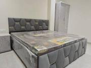 1 BHK Independent Builder Floor in Sushant Lok Phase 1...