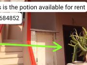 1 BHK Independent Builder Floor in Thirumullaivoyal for...