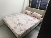 1 BHK Independent House in Mahadevapura for rent...