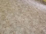 1 BHK Independent House in Mathpurena for rent Raipur....