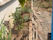 1 BHK Independent House in Sus for rent Pune. The...