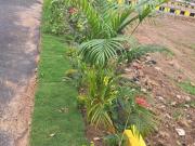 1 BHK Independent House in Thiruvallur for resale...